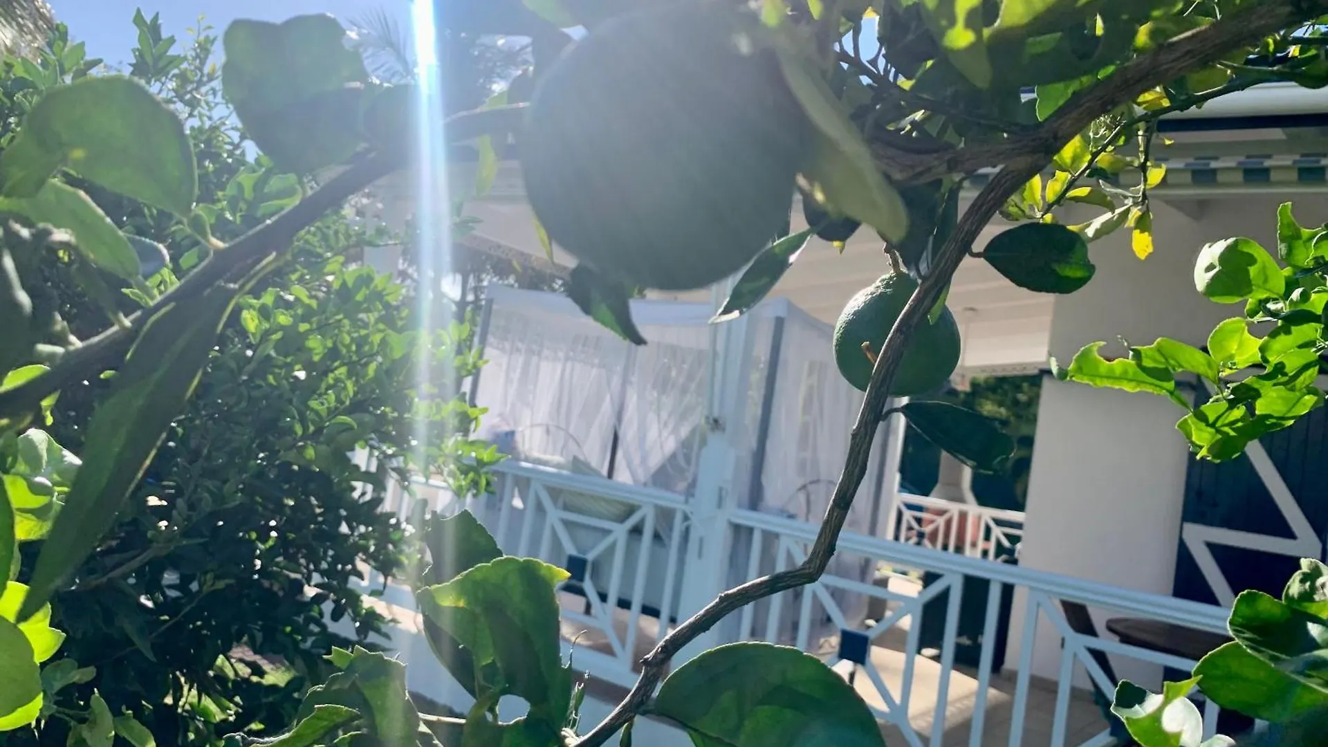 Villa Eli -6Pers- Piscine 프티-부르